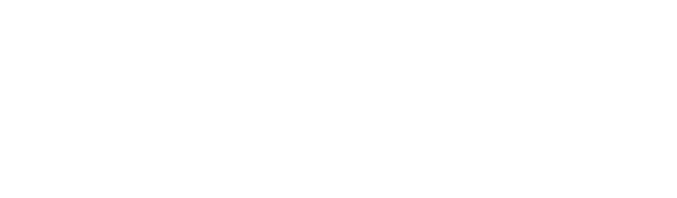 New Century Insurance Group Logo